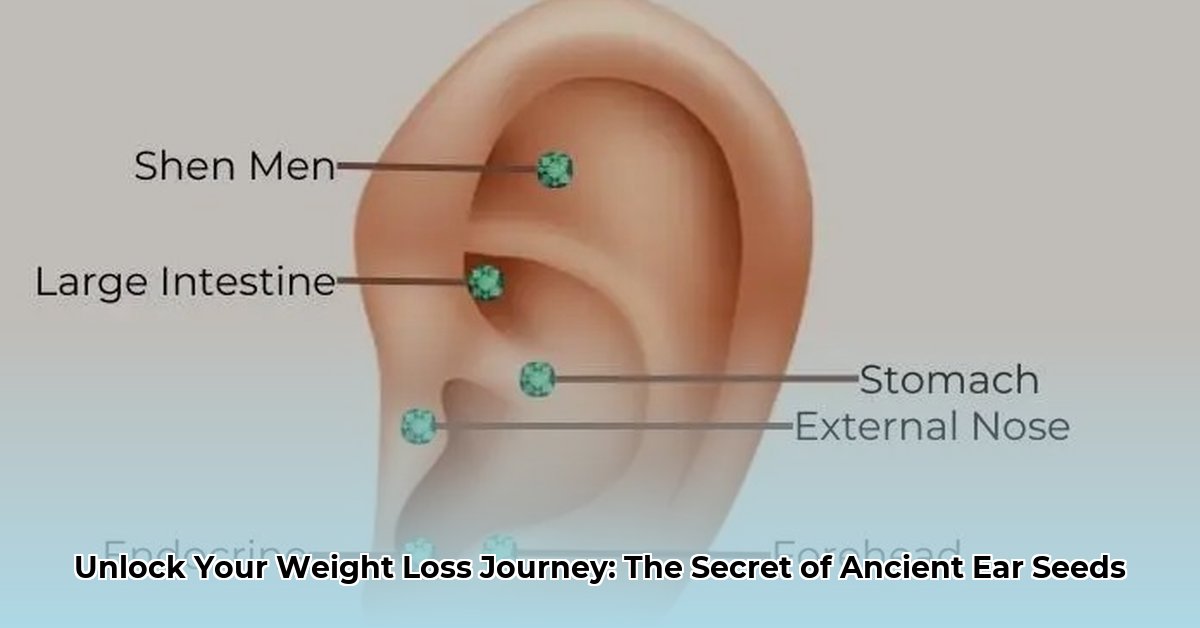 ear seeds chart for weight loss